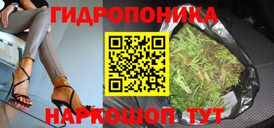 шишки Кандалакша
