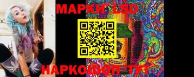 шишки Кандалакша