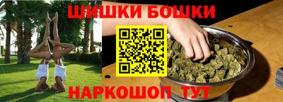 шишки Кандалакша