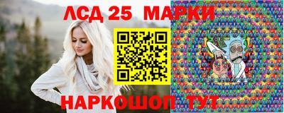 шишки Кандалакша