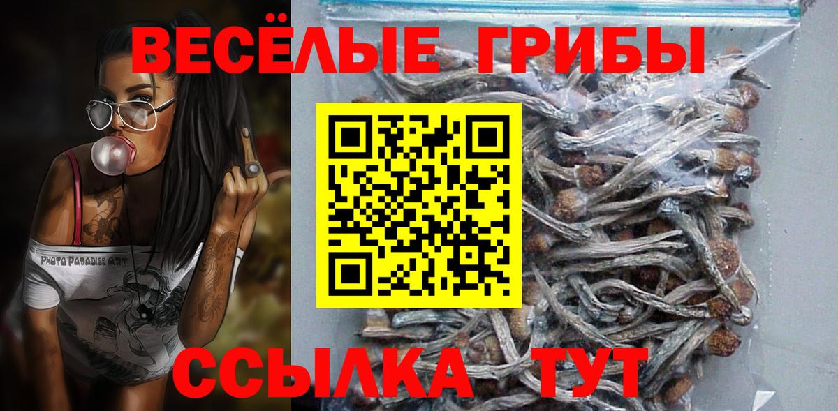 Кулебаки  Галлюциногенные грибы Magic Shrooms  Вход с VPN  Псилоцибиновые грибы прущие грибы 